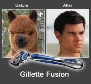 funny-before-and-after-photos-73948